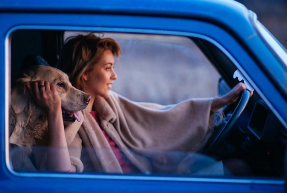 mujer y perro viajan en coche