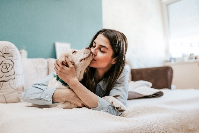 perro en hogar