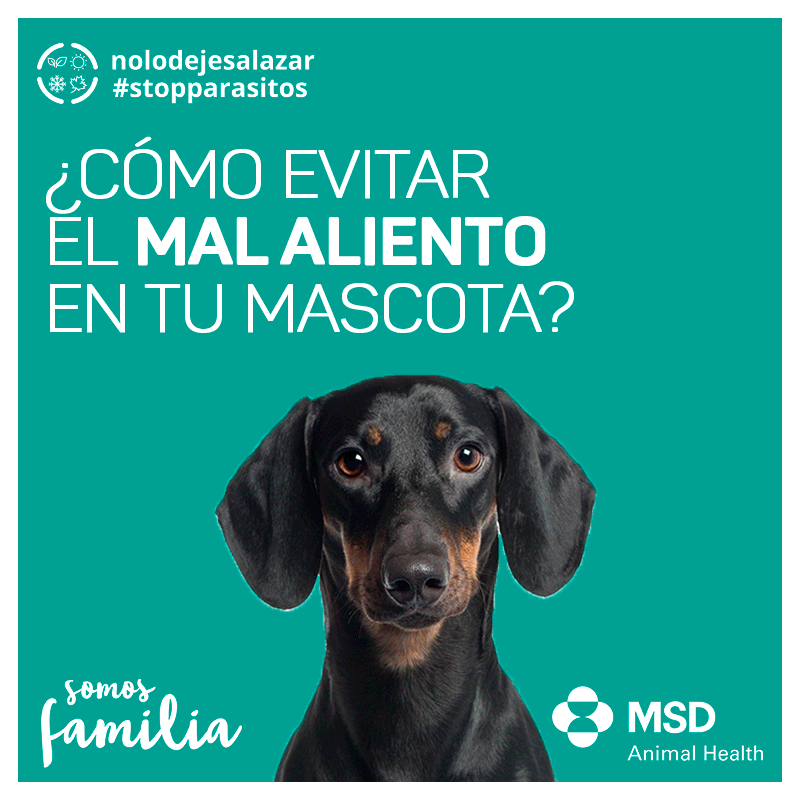 mal aliento tecker