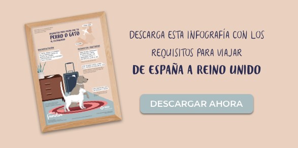 guía viajar mascotas reino unido
