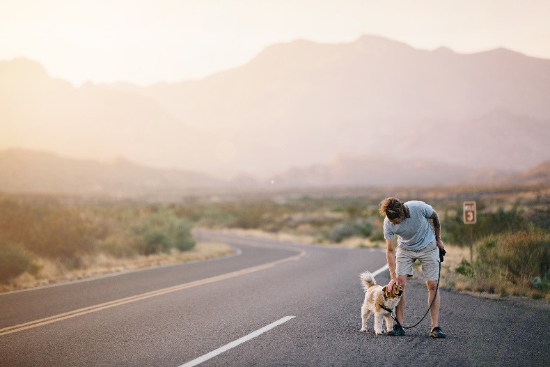 hombre y perro en la carretera
