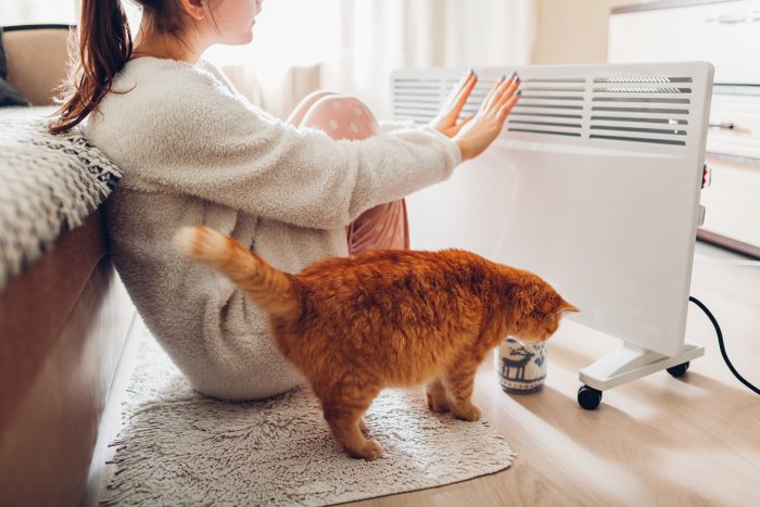 mujer y gato se calientan en un radiador