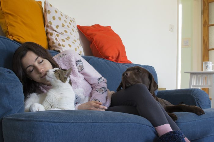 mujer en el sofá con perro y gato