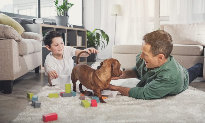 hombre y niño juegan con perro