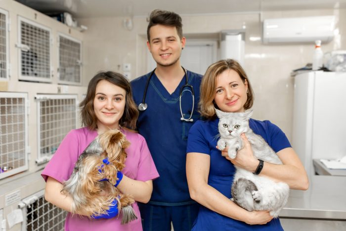 veterinarios con perro y gato