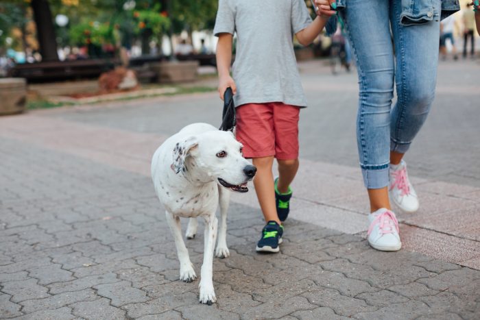 pareja pasea a un perro