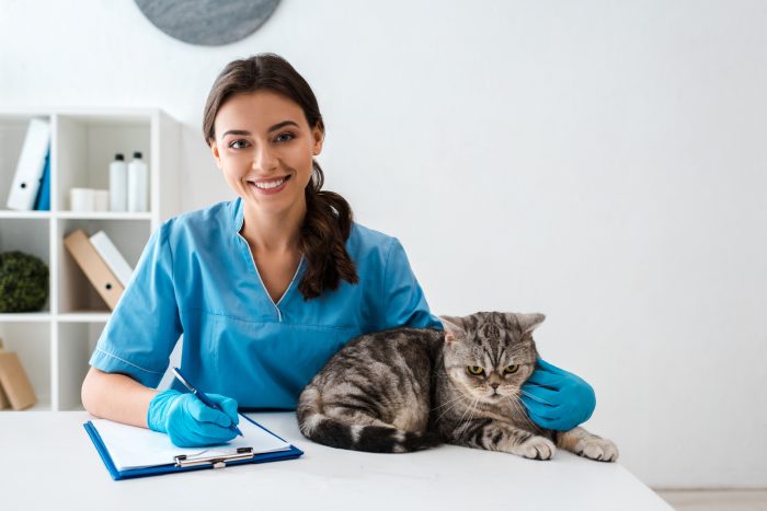 veterinaria con gato enfadado