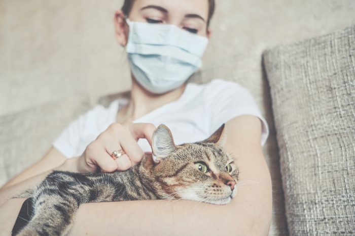 gato feliz con dueña