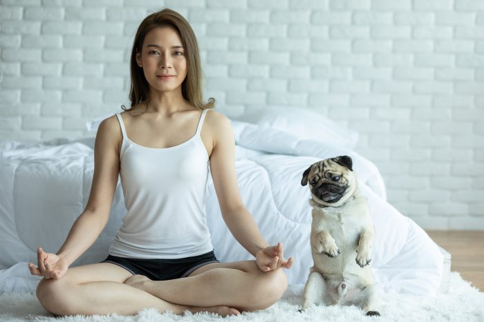 perro yoga