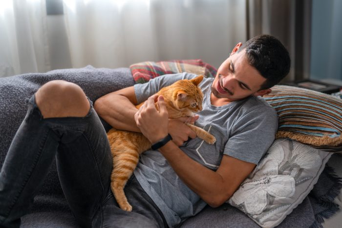 chico abraza a gato en el sofá