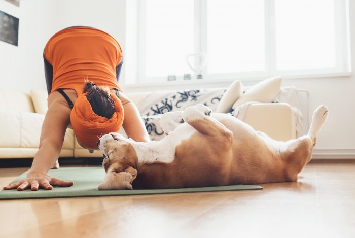 mujer hace yoga con perro