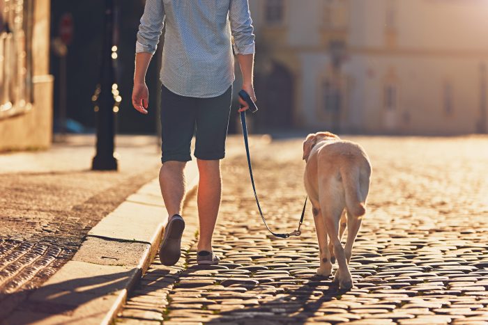 hombre pasea con perro