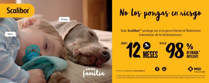 protección perro flebotomo