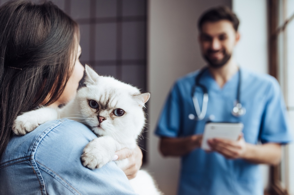 vacuna en gatos en el veterinario