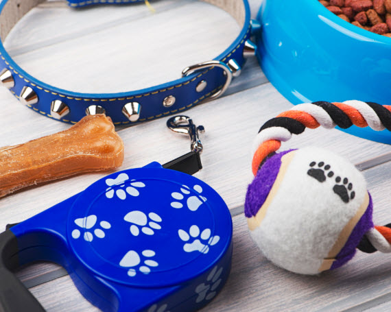 accesorios mascota