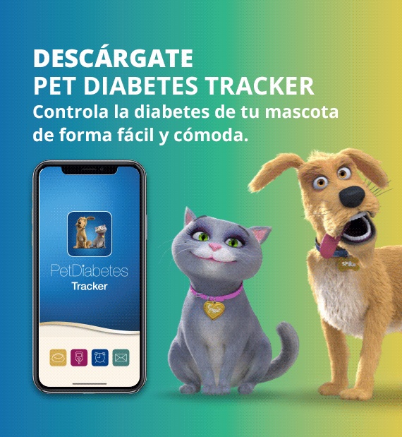 Diabetes canina perro tracker tool