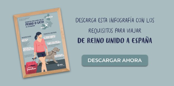 guia reino unido gatos y perros