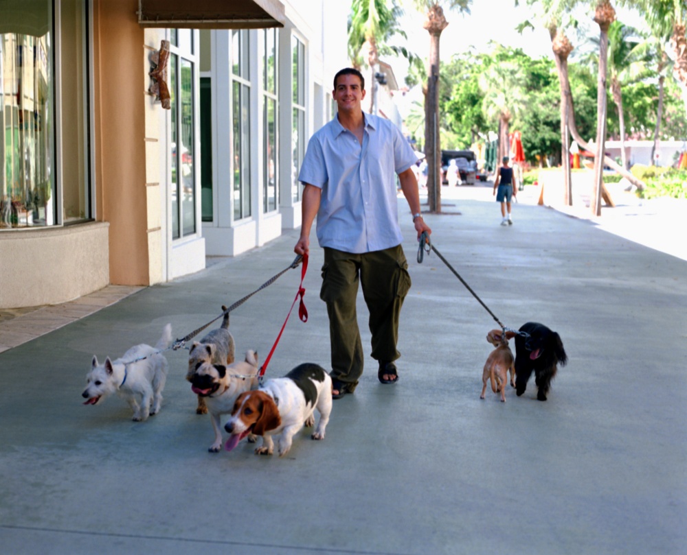 paseador de perros