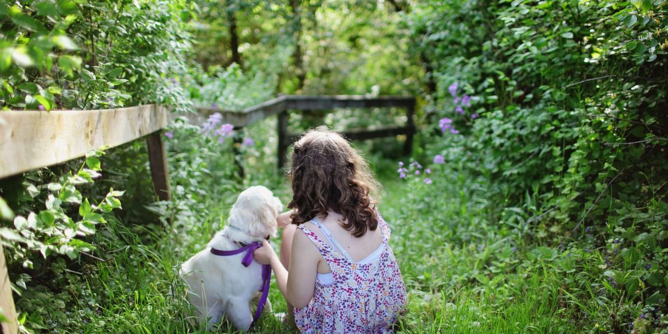 niños y perros