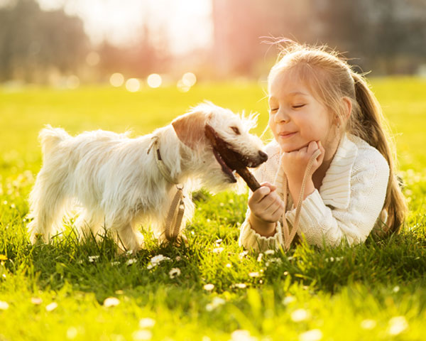 adopción cachorro con niña en la hierba