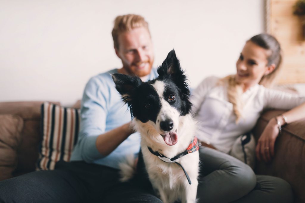 pareja y perro