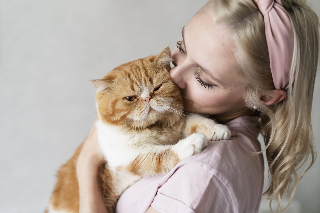 bienvenida a tu gato