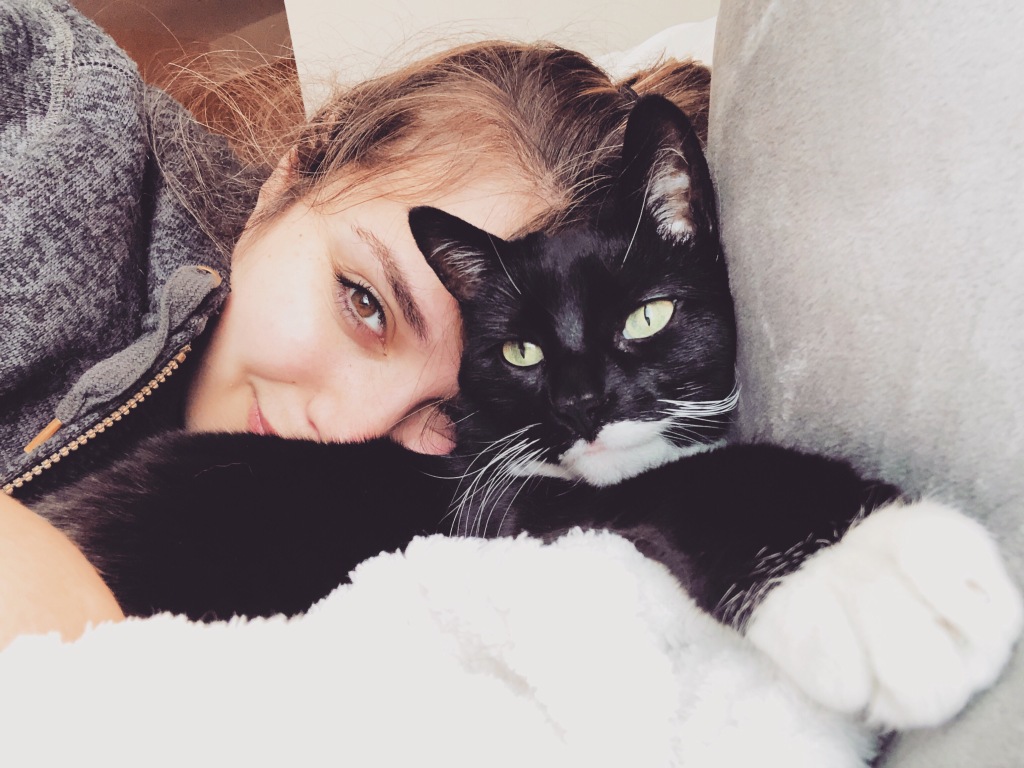 gatos saber mas