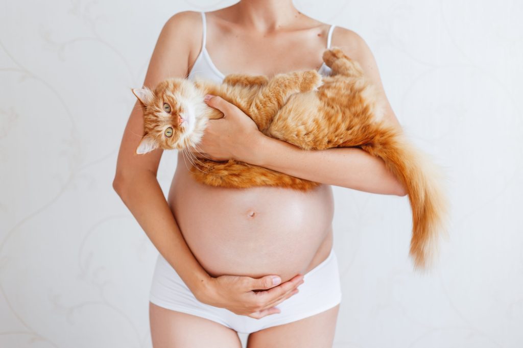 mujeres embarazadas y gatos