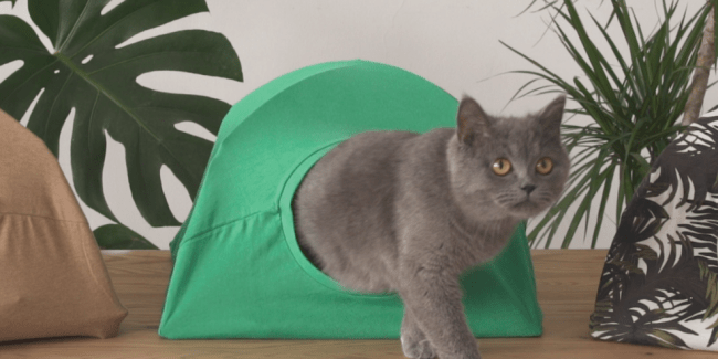 casa para tu gato