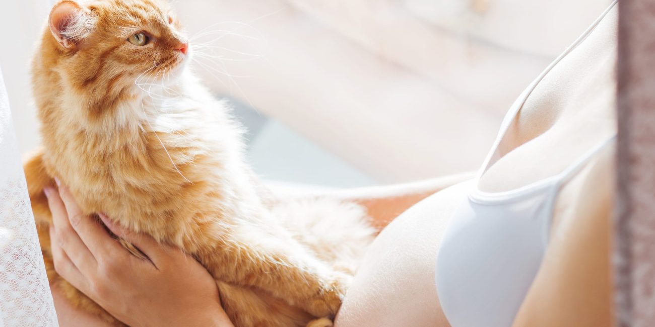 mujeres embarazadas y gatos