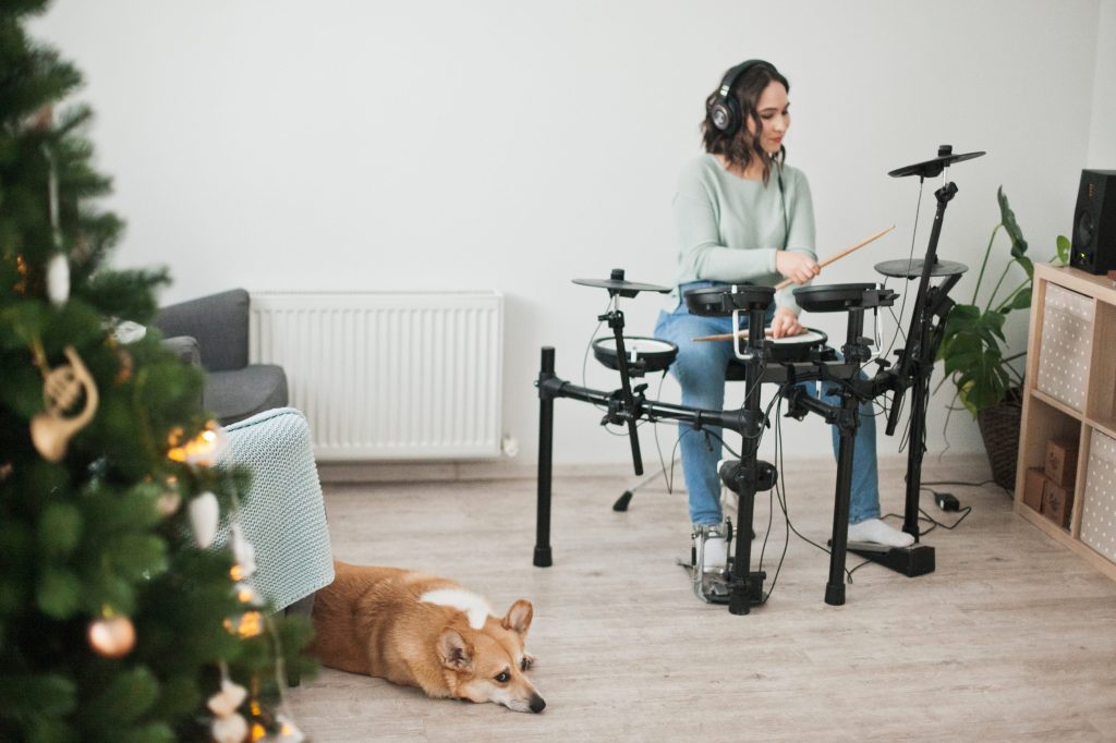 musica y mascotas
