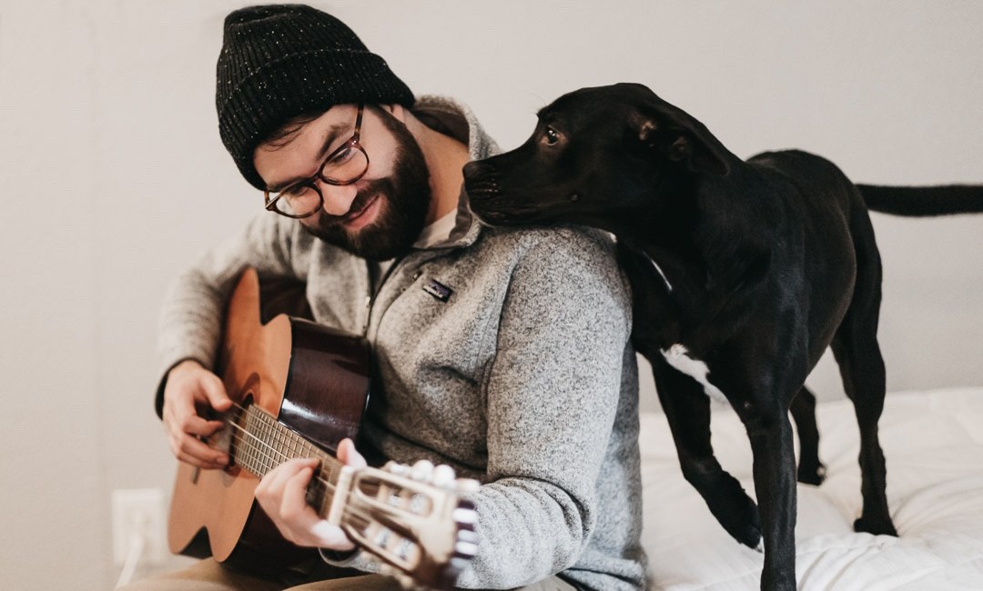 guitarra perro