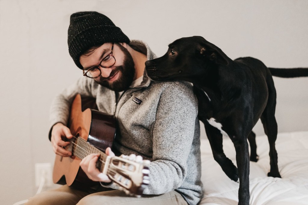 guitarra perro