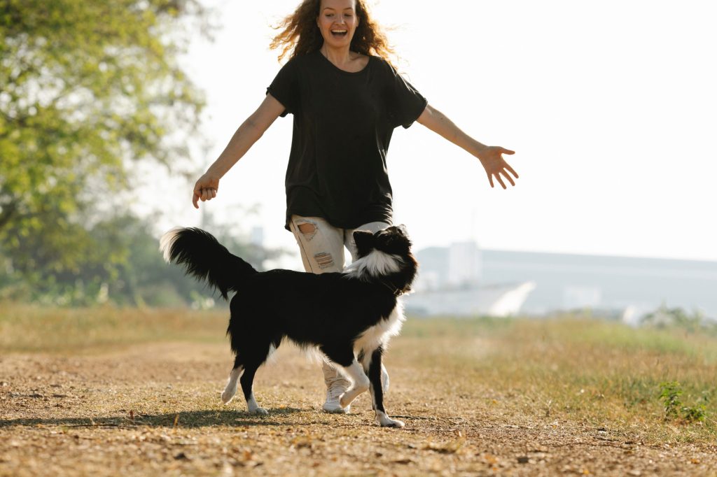 adiestramiento canino