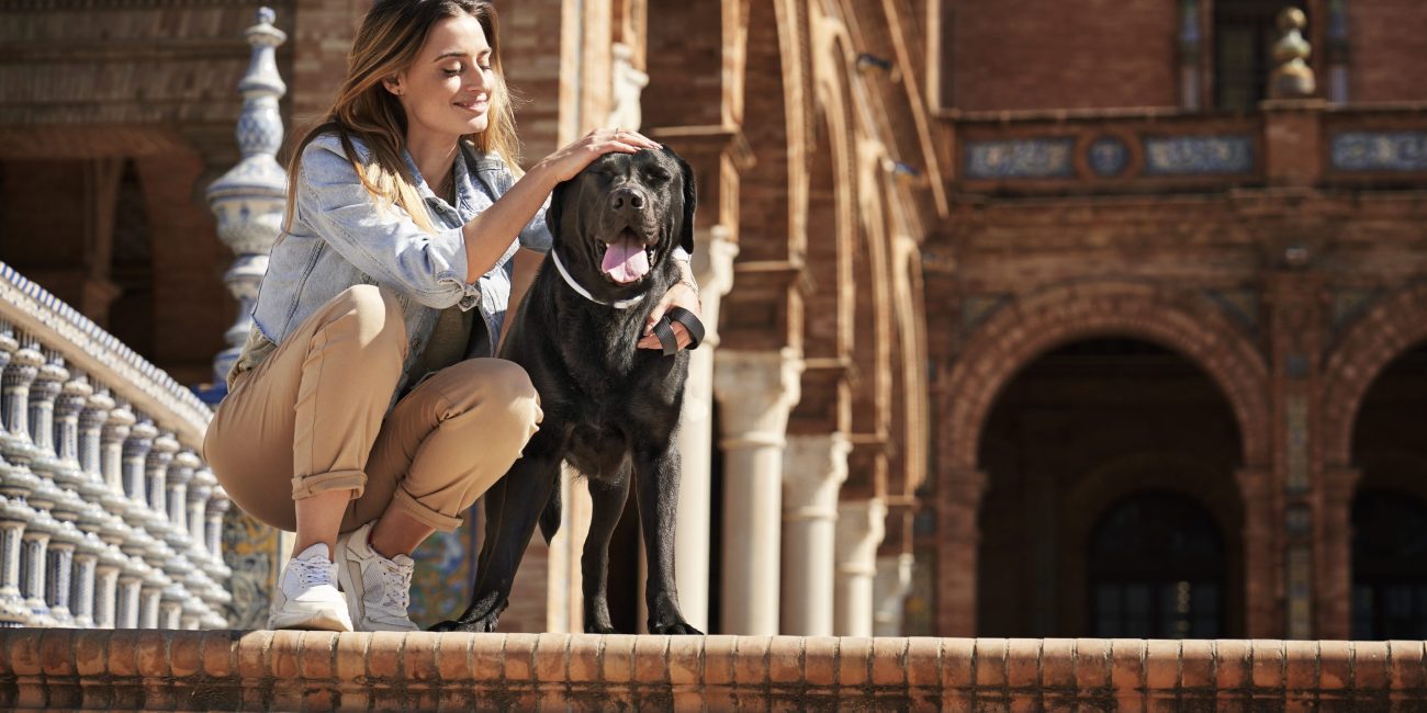 métodos para desparasitar a tu perro