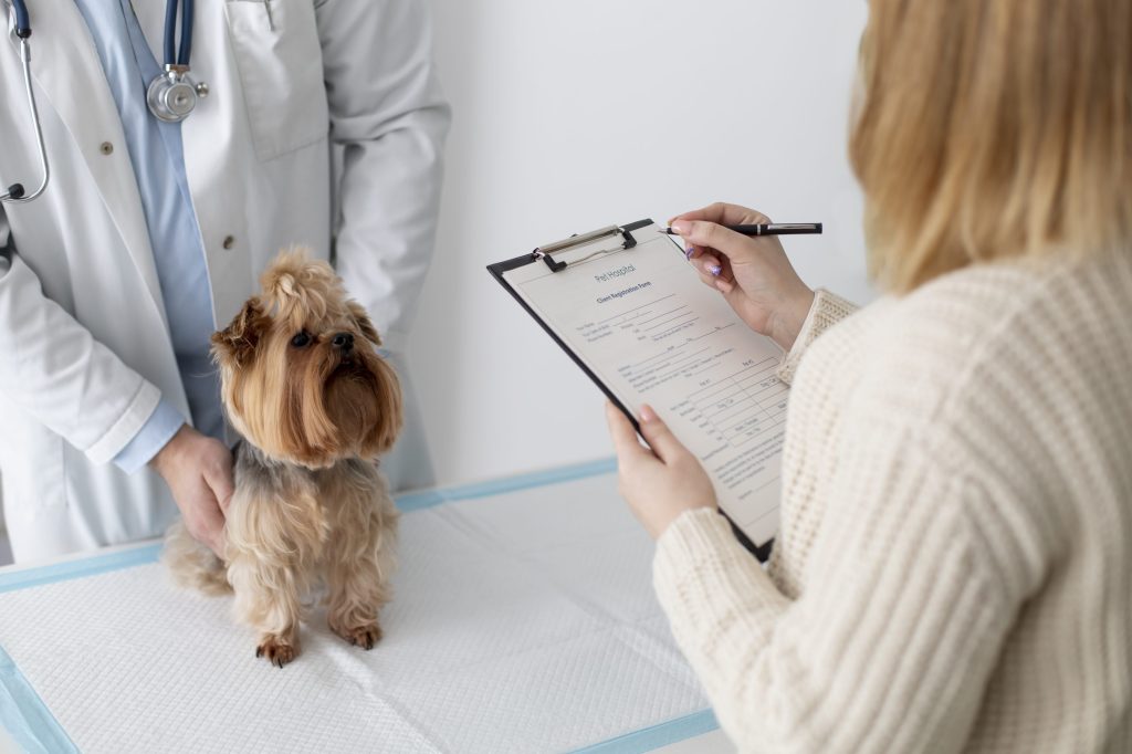 perro en veterinario parasitación