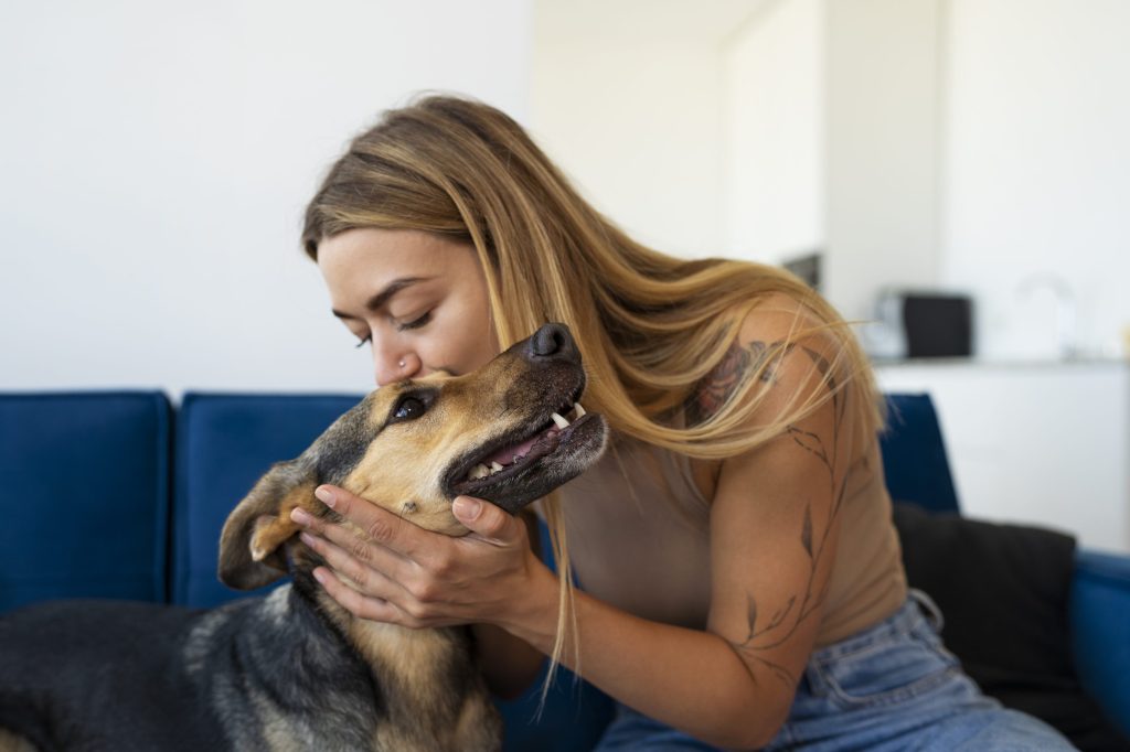 desparasitación interna en perros