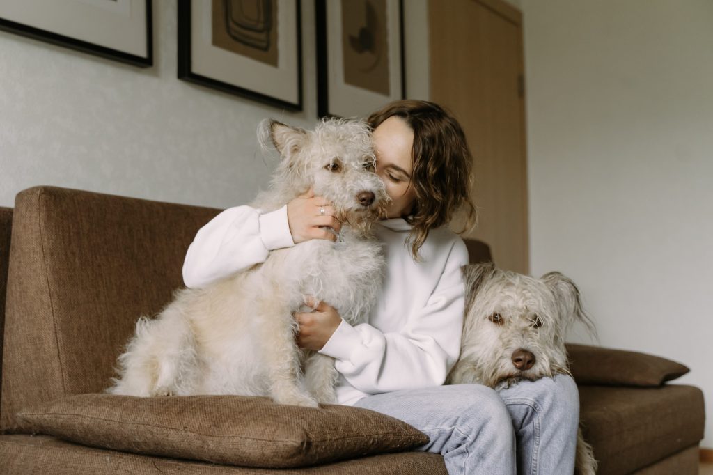 familia besando a sus perros